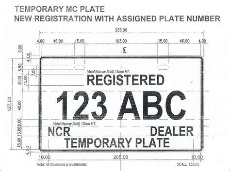 temporary plate number